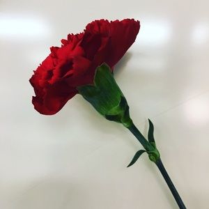 Meet your Posher, Mia